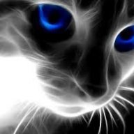 Luxwel