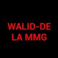 walid le bg