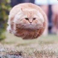 MattKiller68