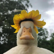 777