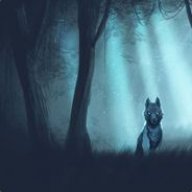 damiensilox