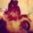 ☃ Joke Geeks ☃ | LNM |